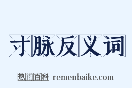 寸脉反义词是什么意思的图片